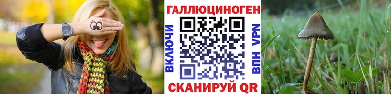 Галлюциногенные грибы мицелий  Яблоновский 